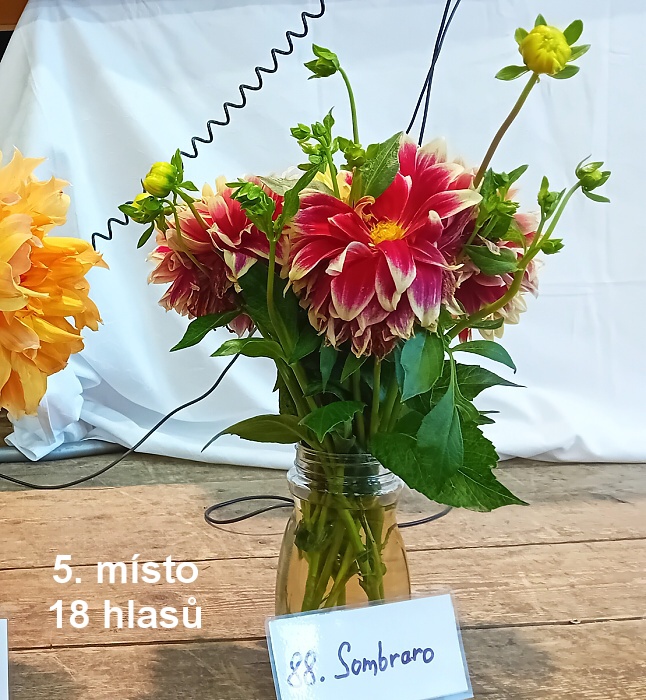 06-5a misto.jpg
